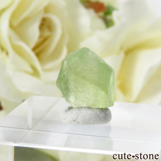ѥ ڥɥåȤη뾽ʸС5.2ctμ̿0 cute stone