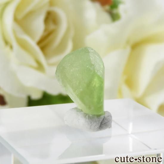 ѥ ڥɥåȤη뾽ʸС5.2ctμ̿1 cute stone