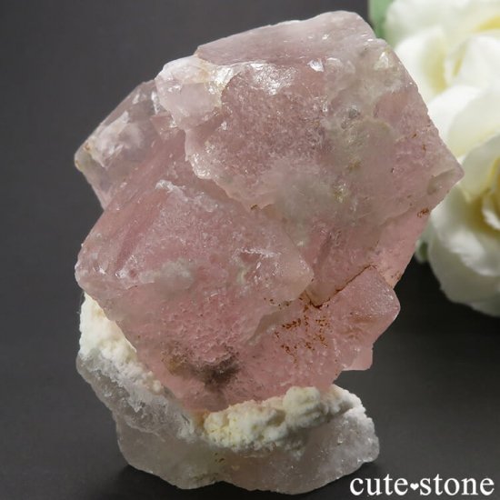 󥴥뻺 ԥ󥯡饤ȥ꡼ե饤Ȥθ 115gμ̿0 cute stone