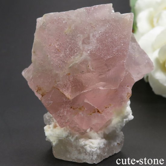 󥴥뻺 ԥ󥯡饤ȥ꡼ե饤Ȥθ 115gμ̿1 cute stone