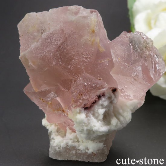 󥴥뻺 ԥ󥯡饤ȥ꡼ե饤Ȥθ 115gμ̿2 cute stone
