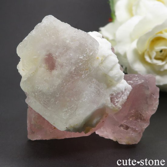 󥴥뻺 ԥ󥯡饤ȥ꡼ե饤Ȥθ 115gμ̿3 cute stone