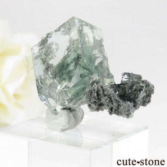  Xianghualing Mine ꡼ե饤Ȥդ뾽ʸС11.1gμ̿0 cute stone