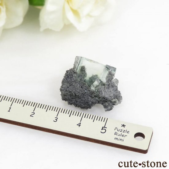  Xianghualing Mine ꡼ե饤Ȥդ뾽ʸС7.8gμ̿2 cute stone