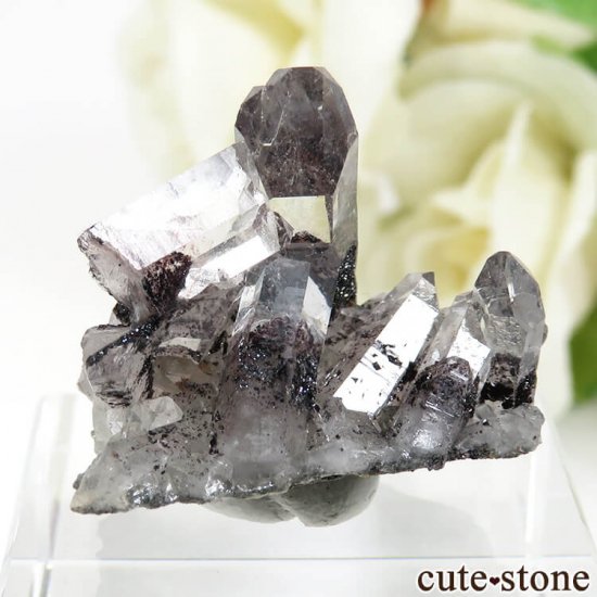 ɻ եȥ९ġʥإޥȥ󥯥ġ˥ޥͥȤθ 6.4gμ̿0 cute stone
