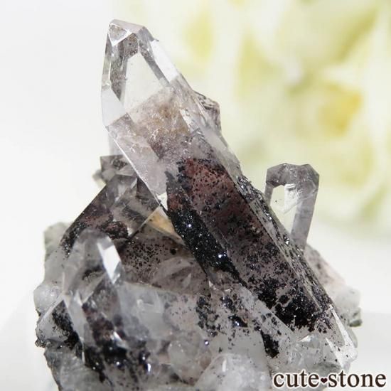 ɻ եȥ९ġʥإޥȥ󥯥ġ˥ޥͥȤθ 6.4gμ̿1 cute stone