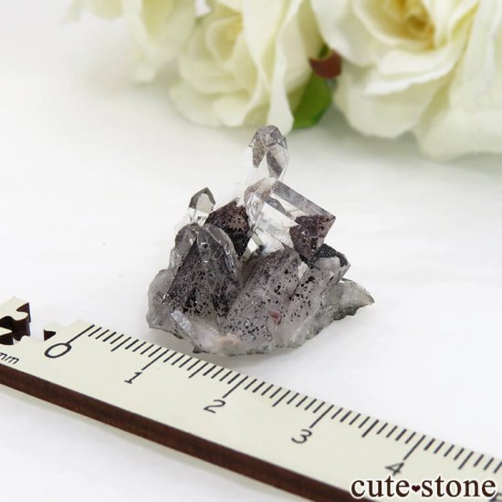 ɻ եȥ९ġʥإޥȥ󥯥ġ˥ޥͥȤθ 6.4gμ̿2 cute stone