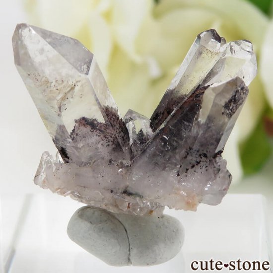 ɻ եȥ९ġʥإޥȥ󥯥ġ˥ޥͥȤθ 4gμ̿0 cute stone