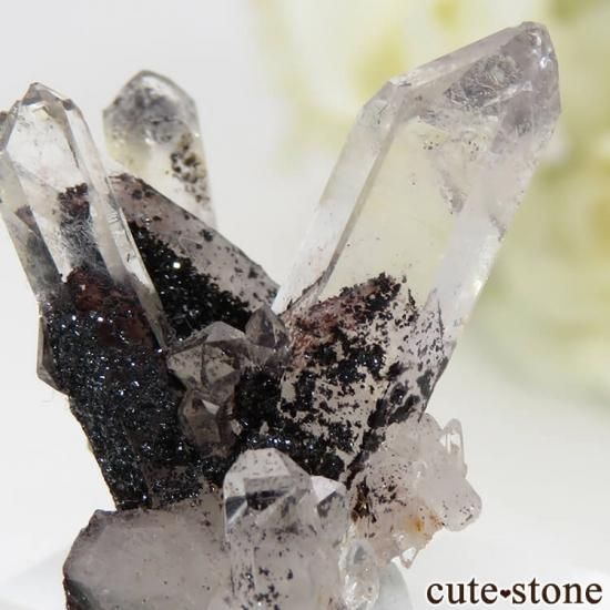 ɻ եȥ९ġʥإޥȥ󥯥ġ˥ޥͥȤθ 4gμ̿1 cute stone