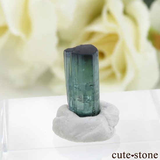 ե˥ ǥ饤ȡʥ֥롼ȥޥˤη뾽ʸС2.5ctμ̿0 cute stone