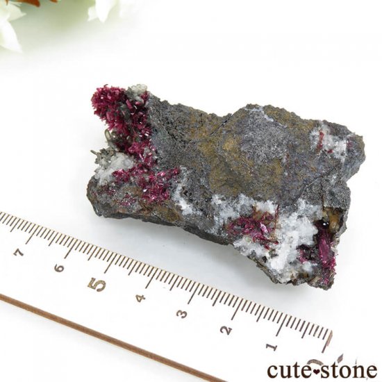 å ꥹ饤Ȥθ (ʪɸ) 62.7gμ̿4 cute stone