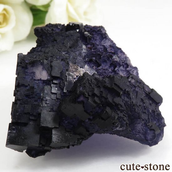 ᥭ Tule Mine ѡץ֥롼ե饤Ȥη뾽ʸС127gμ̿0 cute stone
