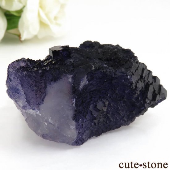 ᥭ Tule Mine ѡץ֥롼ե饤Ȥη뾽ʸС127gμ̿1 cute stone