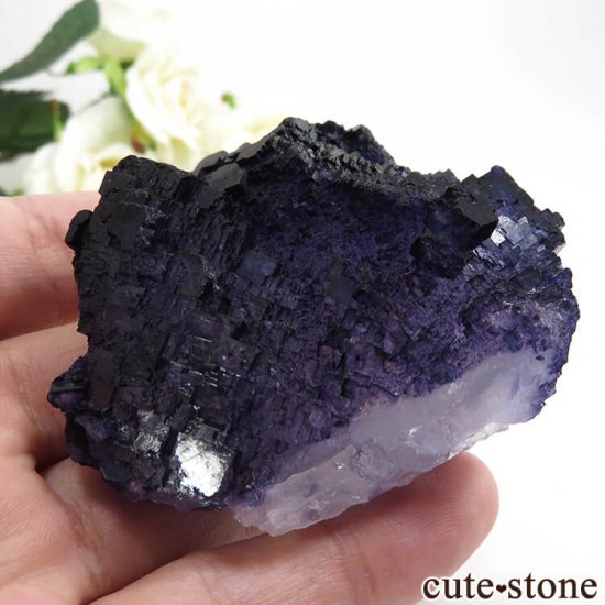 ᥭ Tule Mine ѡץ֥롼ե饤Ȥη뾽ʸС127gμ̿2 cute stone