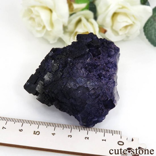 ᥭ Tule Mine ѡץ֥롼ե饤Ȥη뾽ʸС127gμ̿3 cute stone