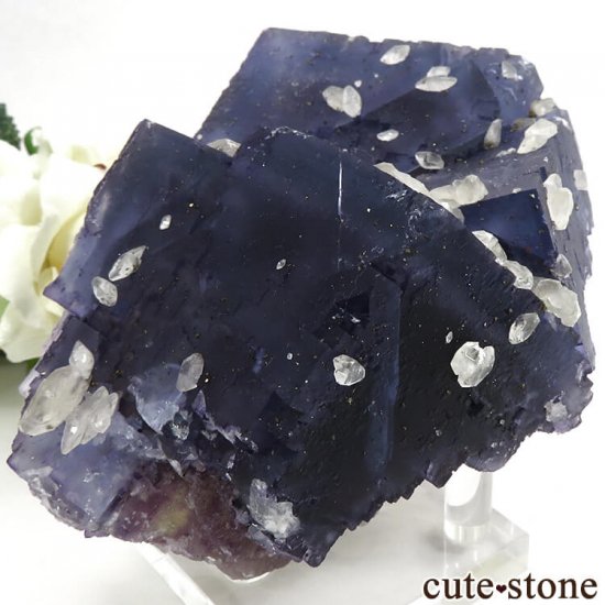 ̲ʢ Υ Denton Mineե饤Ȥθ 703gμ̿0 cute stone