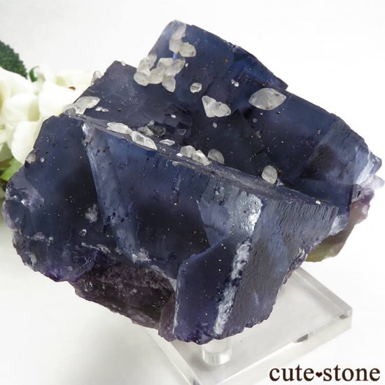 ̲ʢ Υ Denton Mineե饤Ȥθ 703gμ̿2 cute stone