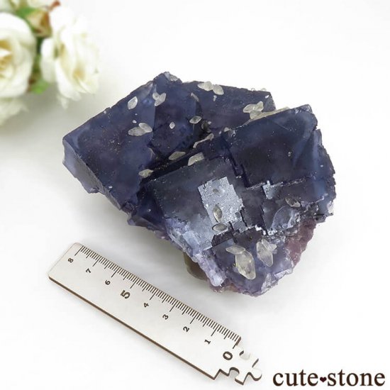 ̲ʢ Υ Denton Mineե饤Ȥθ 703gμ̿8 cute stone