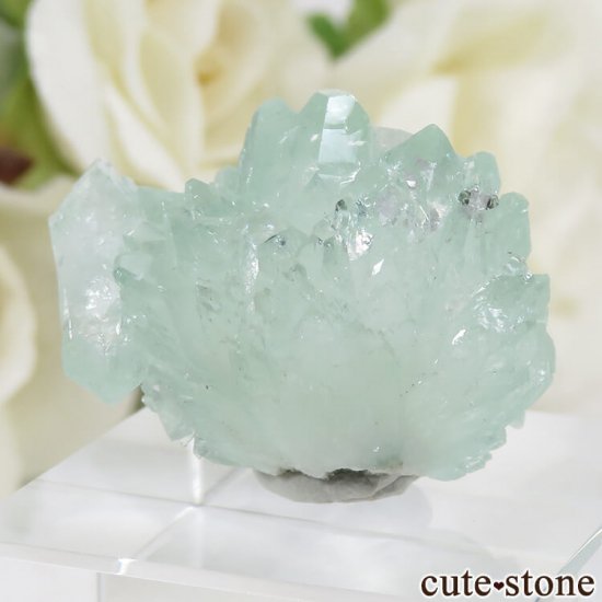  Wagholi Quarries ꡼󥢥ݥե饤Ȥθ 7gμ̿0 cute stone