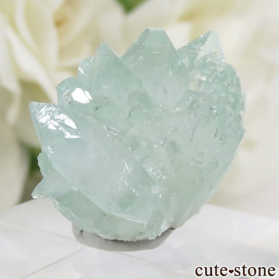  Wagholi Quarries ꡼󥢥ݥե饤Ȥθ 7gμ̿1 cute stone