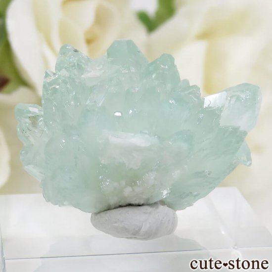  Wagholi Quarries ꡼󥢥ݥե饤Ȥθ 7gμ̿2 cute stone
