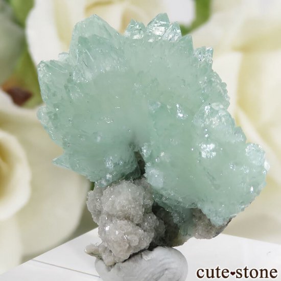  Wagholi Quarries ꡼󥢥ݥե饤Ȥθ 6.8gμ̿0 cute stone