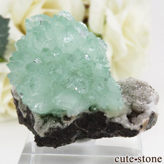  Wagholi Quarries ꡼󥢥ݥե饤Ȥθ 21.6gμ̿0 cute stone