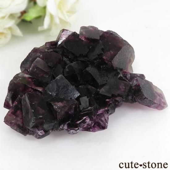 ʥߥӥ Okorusu Mineѡץե饤Ȥθ 164gμ̿1 cute stone