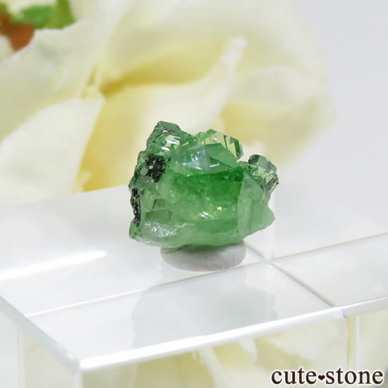 󥶥˥ ĥܥ饤Ȥη뾽ʸС 4.8ctμ̿0 cute stone