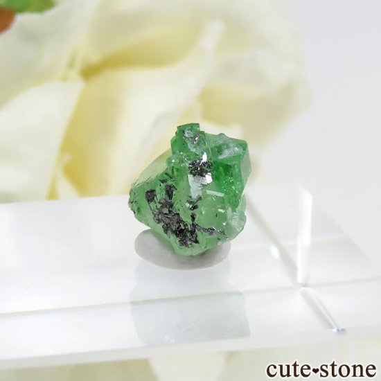󥶥˥ ĥܥ饤Ȥη뾽ʸС 4.8ctμ̿1 cute stone
