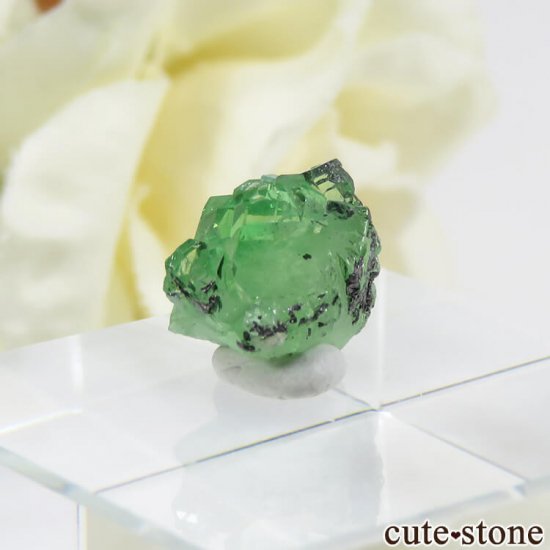 󥶥˥ ĥܥ饤Ȥη뾽ʸС 4.8ctμ̿2 cute stone