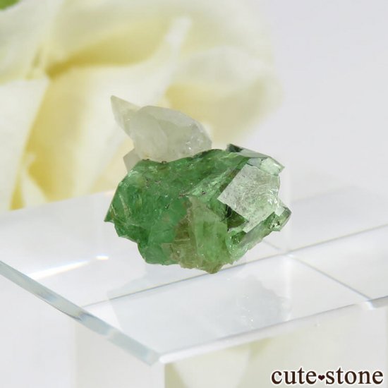 󥶥˥ ĥܥ饤ȡץȤη뾽ʸС 7.3ctμ̿0 cute stone