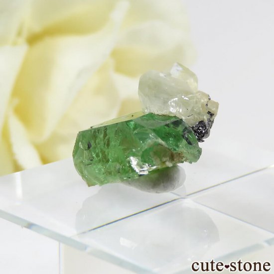󥶥˥ ĥܥ饤ȡץȤη뾽ʸС 7.3ctμ̿1 cute stone