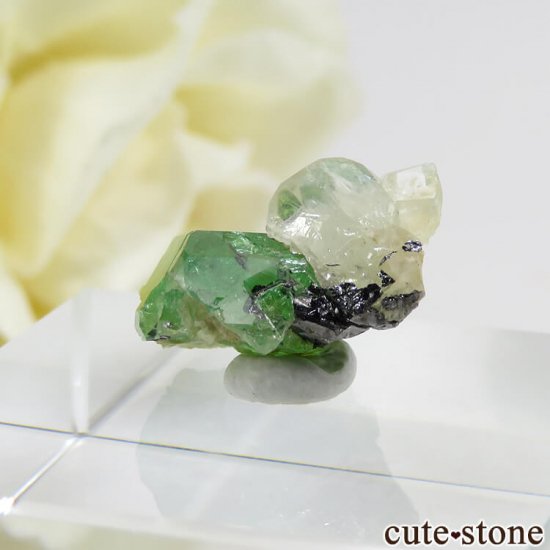 󥶥˥ ĥܥ饤ȡץȤη뾽ʸС 7.3ctμ̿2 cute stone