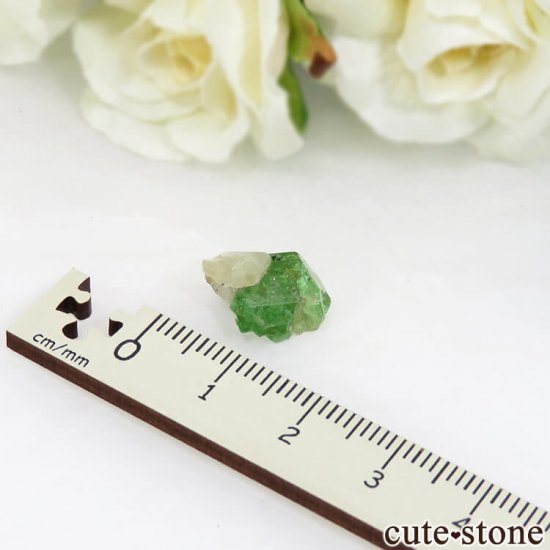 󥶥˥ ĥܥ饤ȡץȤη뾽ʸС 7.3ctμ̿4 cute stone