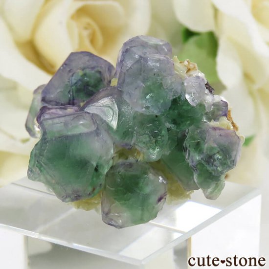 ʥߥӥ 󥴻 ꡼ѡץե饤Ȥθ 13.2gμ̿0 cute stone