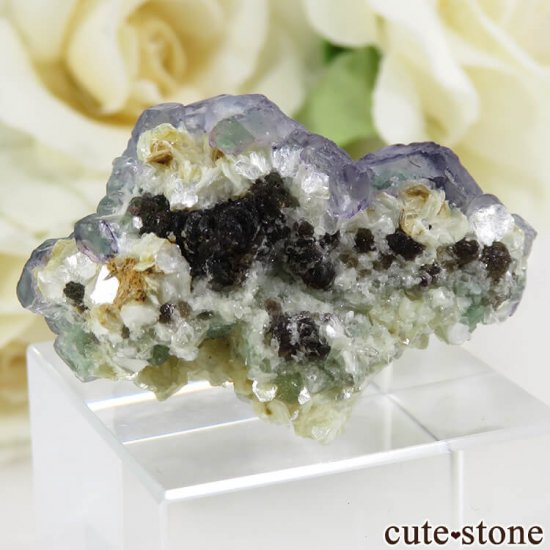 ʥߥӥ 󥴻 ꡼ѡץե饤Ȥθ 13.2gμ̿1 cute stone