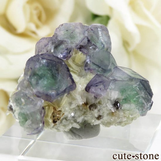 ʥߥӥ 󥴻 ꡼ѡץե饤Ȥθ 13.2gμ̿2 cute stone