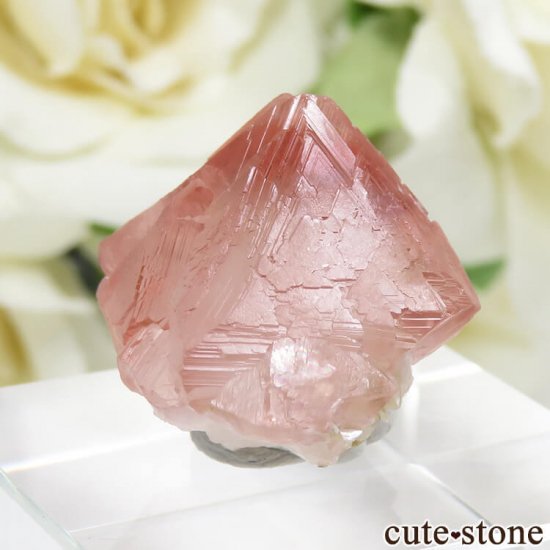 ѥ Chumar Bakhoor ԥ󥯥ե饤Ȥη뾽ʸС 7.7gμ̿1 cute stone