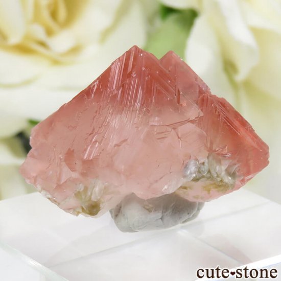 ѥ Chumar Bakhoor ԥ󥯥ե饤Ȥη뾽ʸС 7.7gμ̿2 cute stone