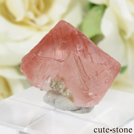 ѥ Chumar Bakhoor ԥ󥯥ե饤Ȥη뾽ʸС 7.7gμ̿3 cute stone