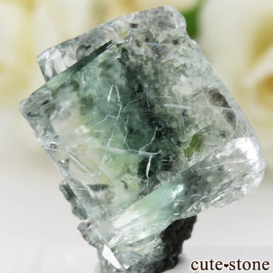  Xianghualing Mine ꡼ե饤Ȥդ뾽ʸС14.6gμ̿2 cute stone