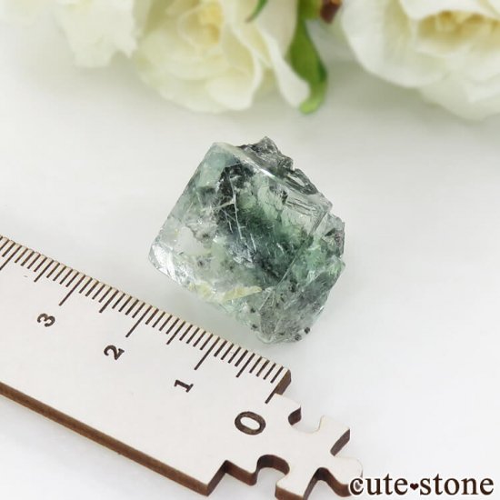  Xianghualing Mine ꡼ե饤Ȥդ뾽ʸС14.6gμ̿3 cute stone