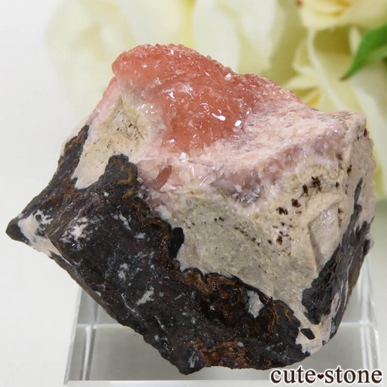 եꥫ N'Chwaning III Mine ɥȤդ뾽ʸС 51gμ̿0 cute stone