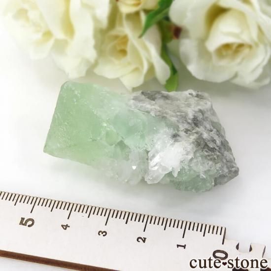  Xianghualing Mine ȬΥ꡼ե饤ȡ徽θ 51.2gμ̿3 cute stone