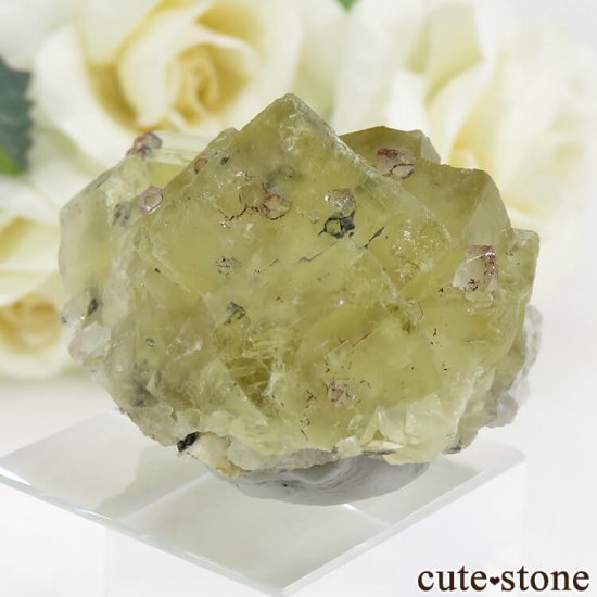  ʻ ե饤ȡ徽θ 42gμ̿2 cute stone