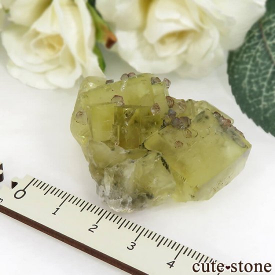  ʻ ե饤ȡ徽θ 42gμ̿6 cute stone