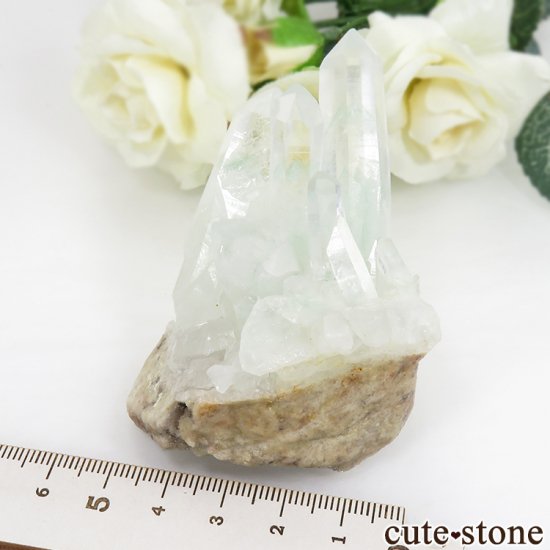 ꡼եȥ९ġʥȥġˤθ 100gμ̿5 cute stone