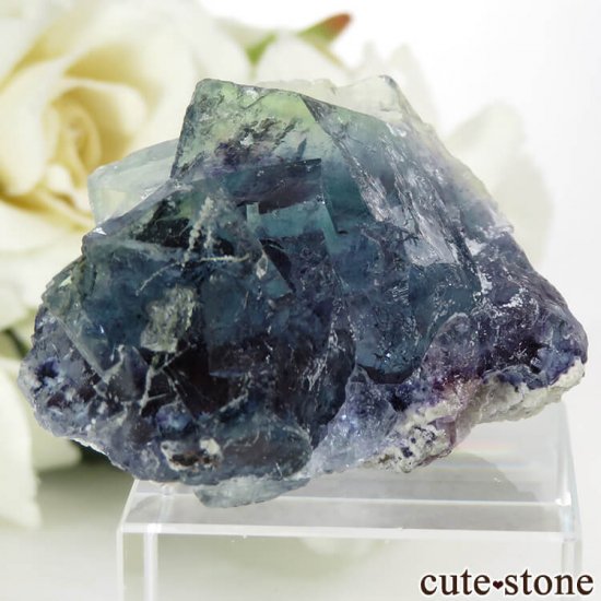  󥴥뻺 ֥롼ե饤Ȥθ 32.4gμ̿0 cute stone