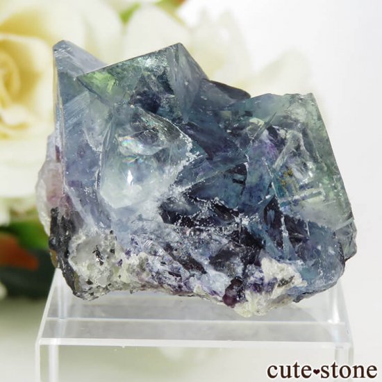  󥴥뻺 ֥롼ե饤Ȥθ 32.4gμ̿1 cute stone